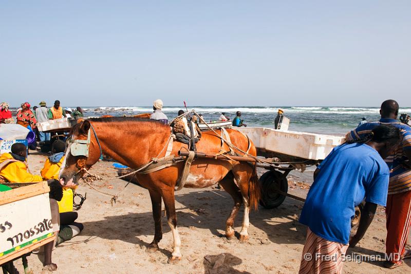 20090529_100445 D3 P1 P1.jpg - Horse and buggy waiting to be loaded